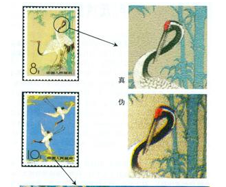 特48《丹顶鹤》邮票的真伪鉴别技巧